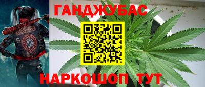 дмт Моздок