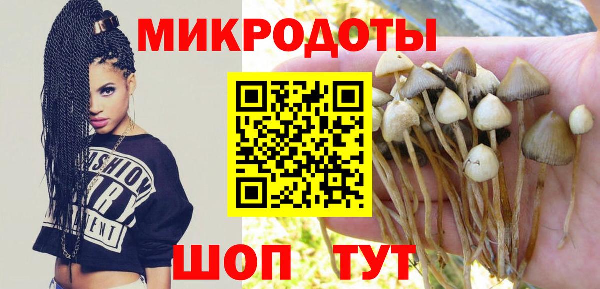 Псилоцибиновые грибы мухоморы  Вход с VPN  Тула 