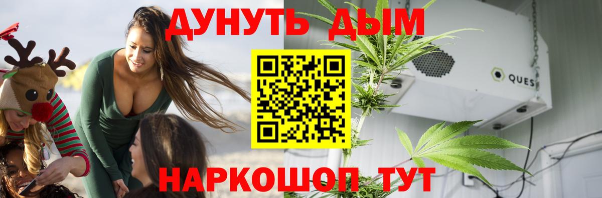 Шишки марихуана тримм  Вход с VPN  Тула  Каннабис AK-47  Канабис THC 21% 